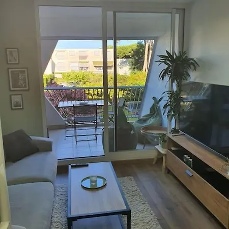 Pour 1 A 4 Pers Terrasse Et Parking La Grande-Motte
